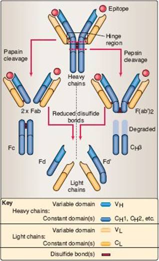 fig_6_4.jpg