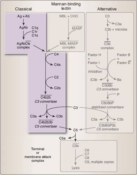 fig_6_5.jpg
