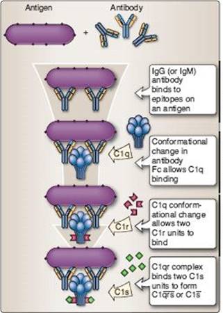 fig_6_6.jpg
