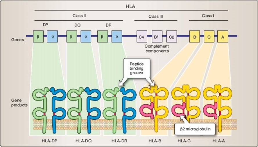 fig_6_7.jpg