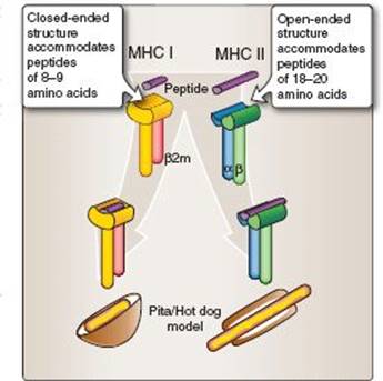 fig_6_8.jpg