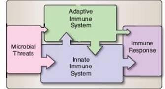 fig_10_1.jpg