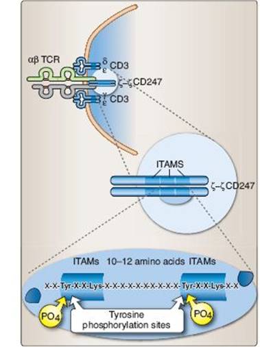 fig_10_8.jpg