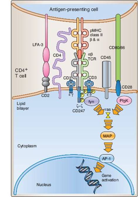 fig_10_10.jpg