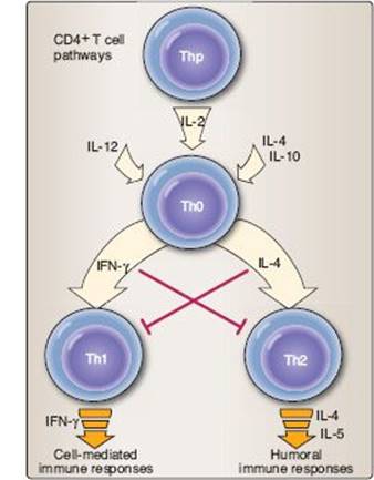 fig_10_11.jpg