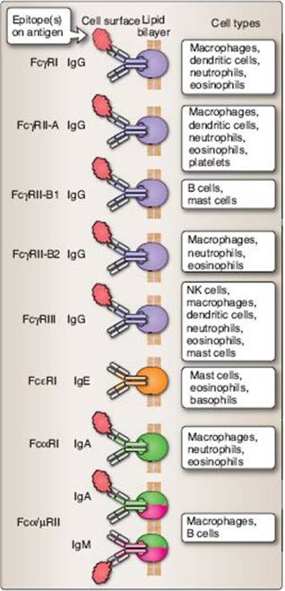 fig_14_4.jpg