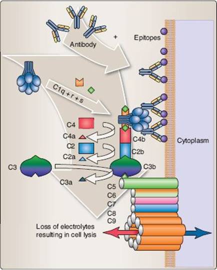 fig_14_6.jpg