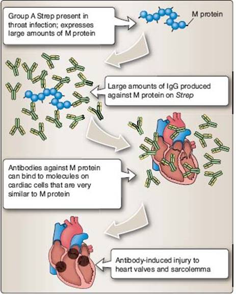 fig_16_6.jpg