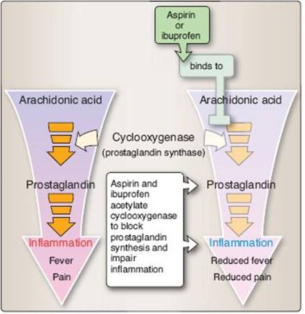 fig_18_2.jpg