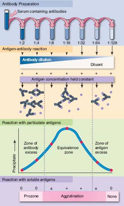 fig_20_1.jpg