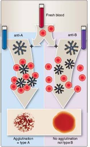 fig_20_2.jpg