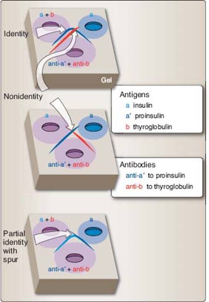 fig_20_5.jpg