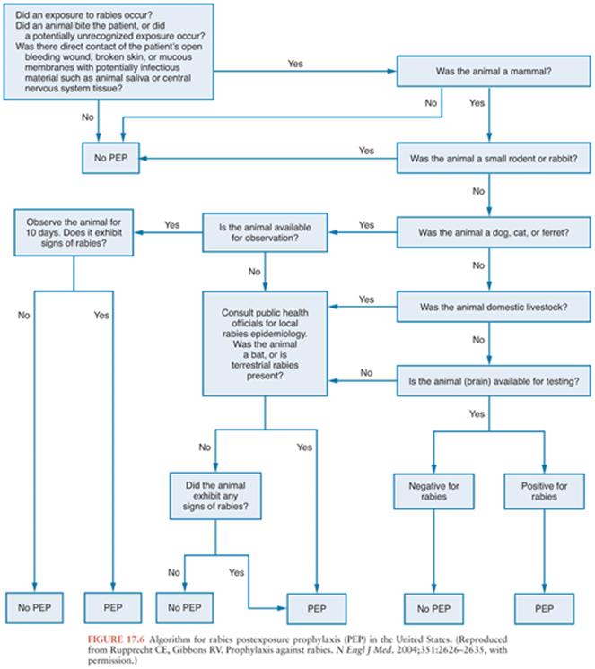 Rabies - VIRAL INFECTIONS AND - Infections of the Central Nervous ...