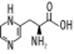 figs/t0202_g.gif