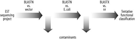 figs/blst_1201.gif