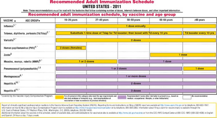 Immunization and Recommendations for Travelers - Disease Prevention and ...