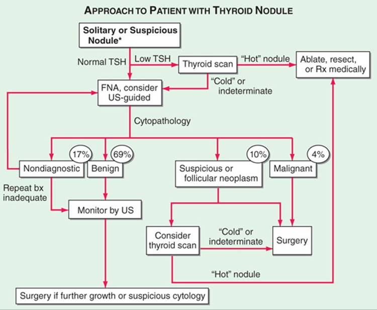 Thyroid Gland Disorders - Endocrinology and Metabolism - Harrisons ...