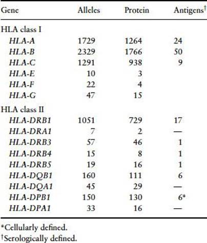 Table04-1