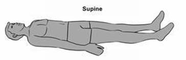 anatomicposition_Supine.jpg