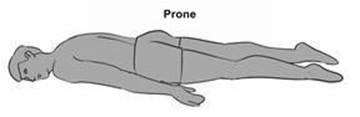 anatomicposition_Prone.jpg