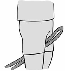 elephantears (1).jpg