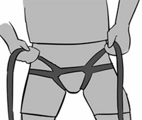 elephantears (2).jpg