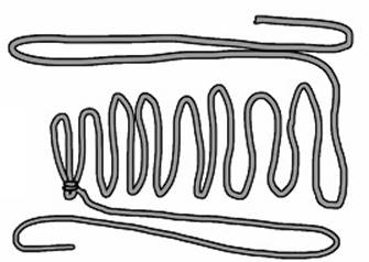 RopeLitter2.jpg