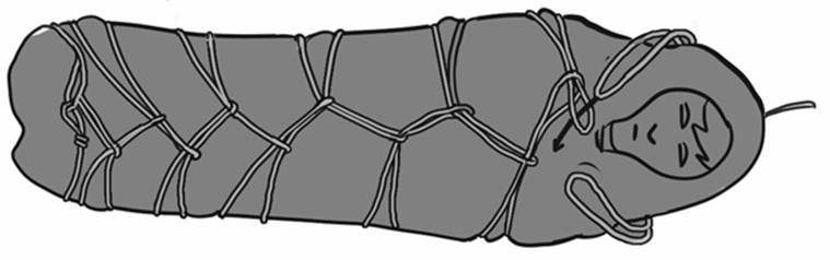 mummylitter4.jpg