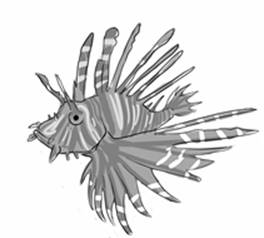 lionfish.jpg