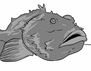 stonefish.jpg