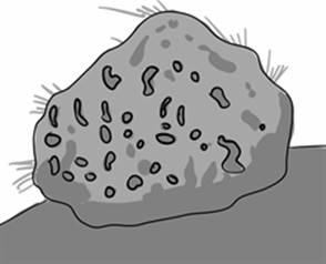 sponge1.jpg