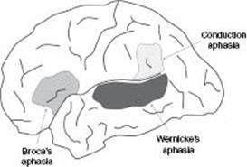 Figure 3.1