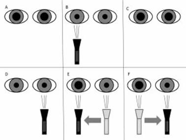 Figure 5.2