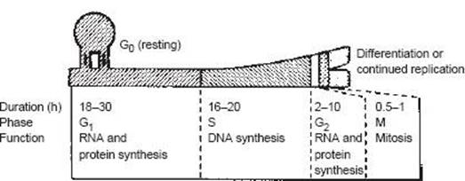 f0005-01