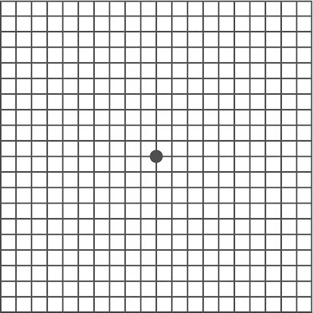 bm20-9781455776443