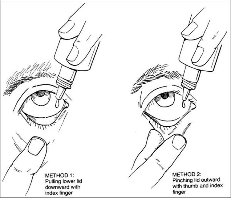 Click to view full size figure