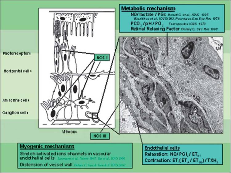 Click to view full size figure