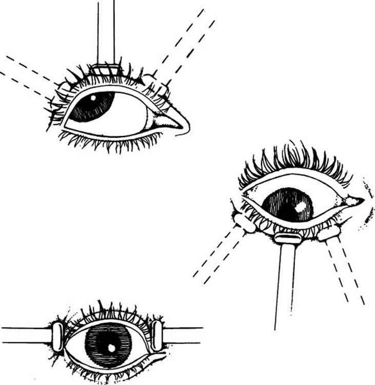Click to view full size figure