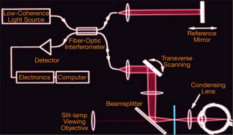 Click to view full size figure