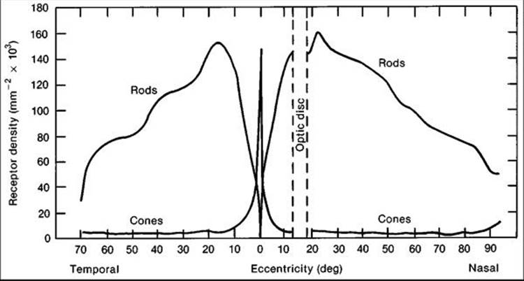 Click to view full size figure
