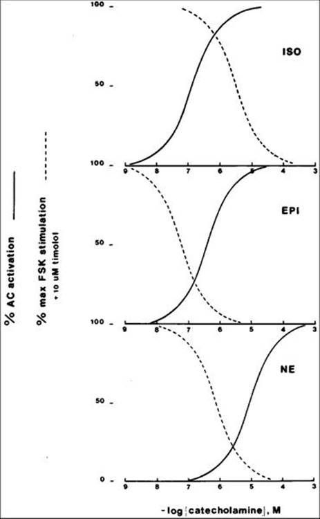 Click to view full size figure