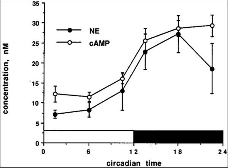 Click to view full size figure