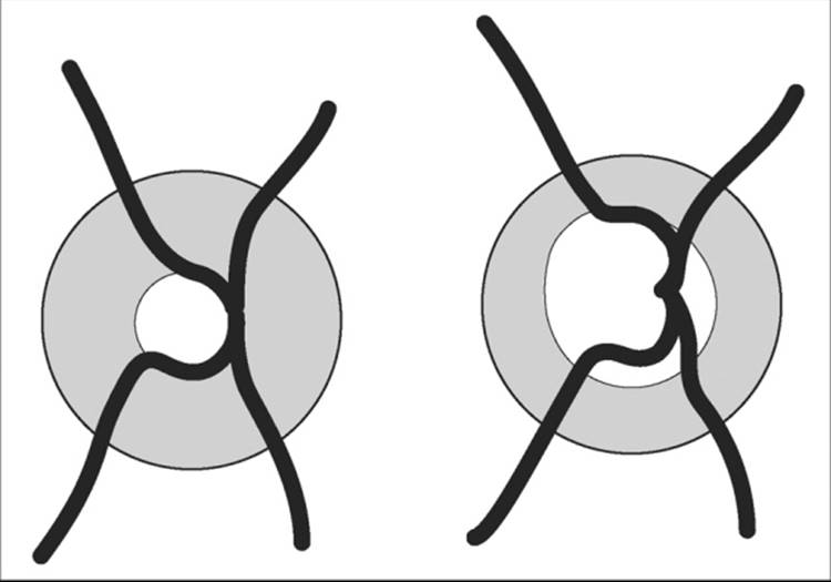 Click to view full size figure