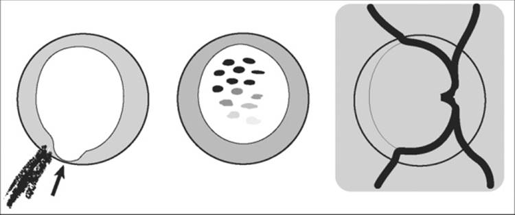Click to view full size figure