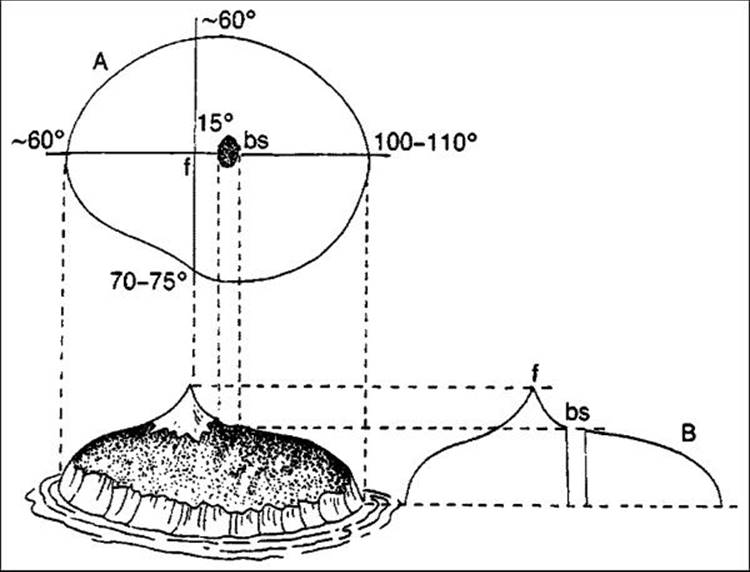 Click to view full size figure
