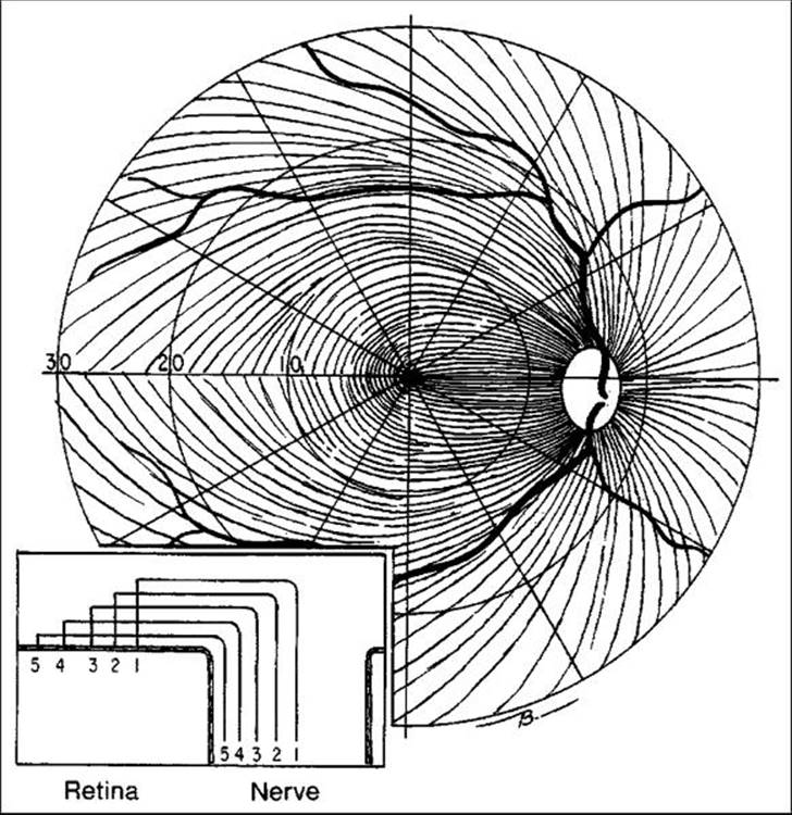 Click to view full size figure