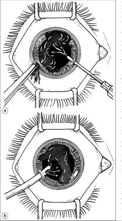 Click to view full size figure