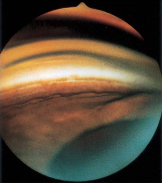 Click to view full size figure