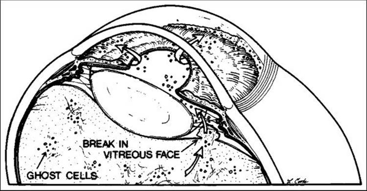 Click to view full size figure