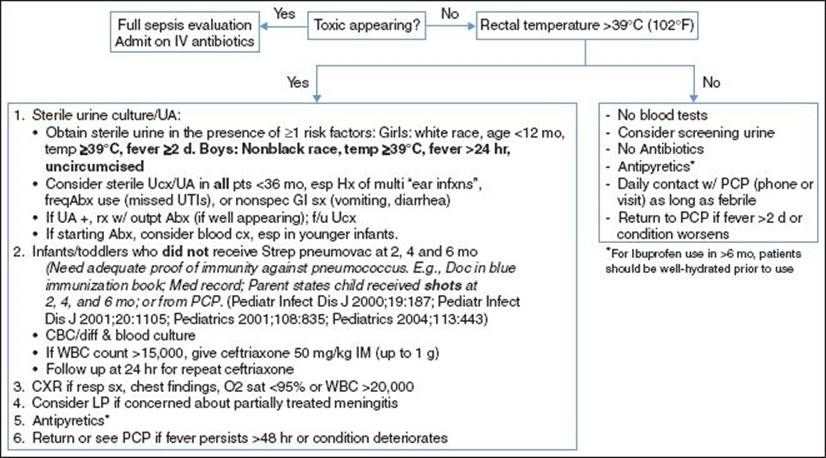 FEVER WITHOUT AN IDENTIFIED SOURCE IN INFANTS AND CHILDREN - Pocket ...
